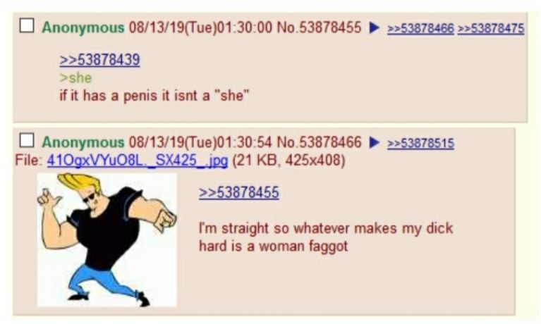 A 4chan message board screenshot of two Anonymous users. One quotes "she" in green text and comments "if it has a penis it isn't a she." The other responds with a picture of cartoon character Johnny Bravo pointing at the camera and smiling with the text "I'm straight so whatever makes my dick hard is a woman faggot". 