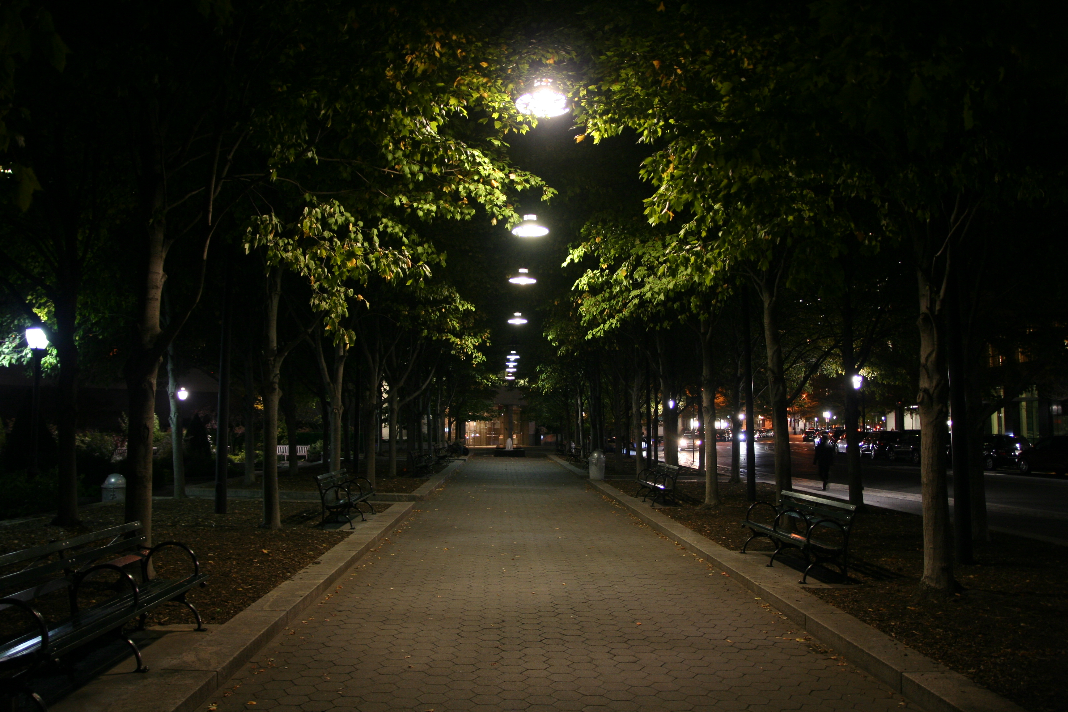 A park pathway at night with benches on either side and a sparse tree canopy overhead. Nobody is in the frame. Lights illuminate the pathway, apparently belonging to streetlamps, though no lampposts are visible.